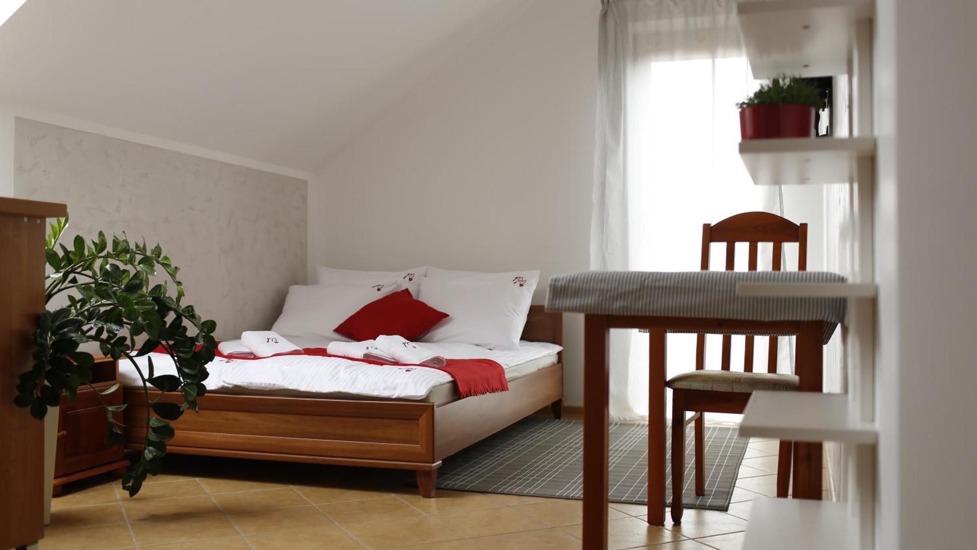 Malinowe Lato Apartment Гжибово Стая снимка