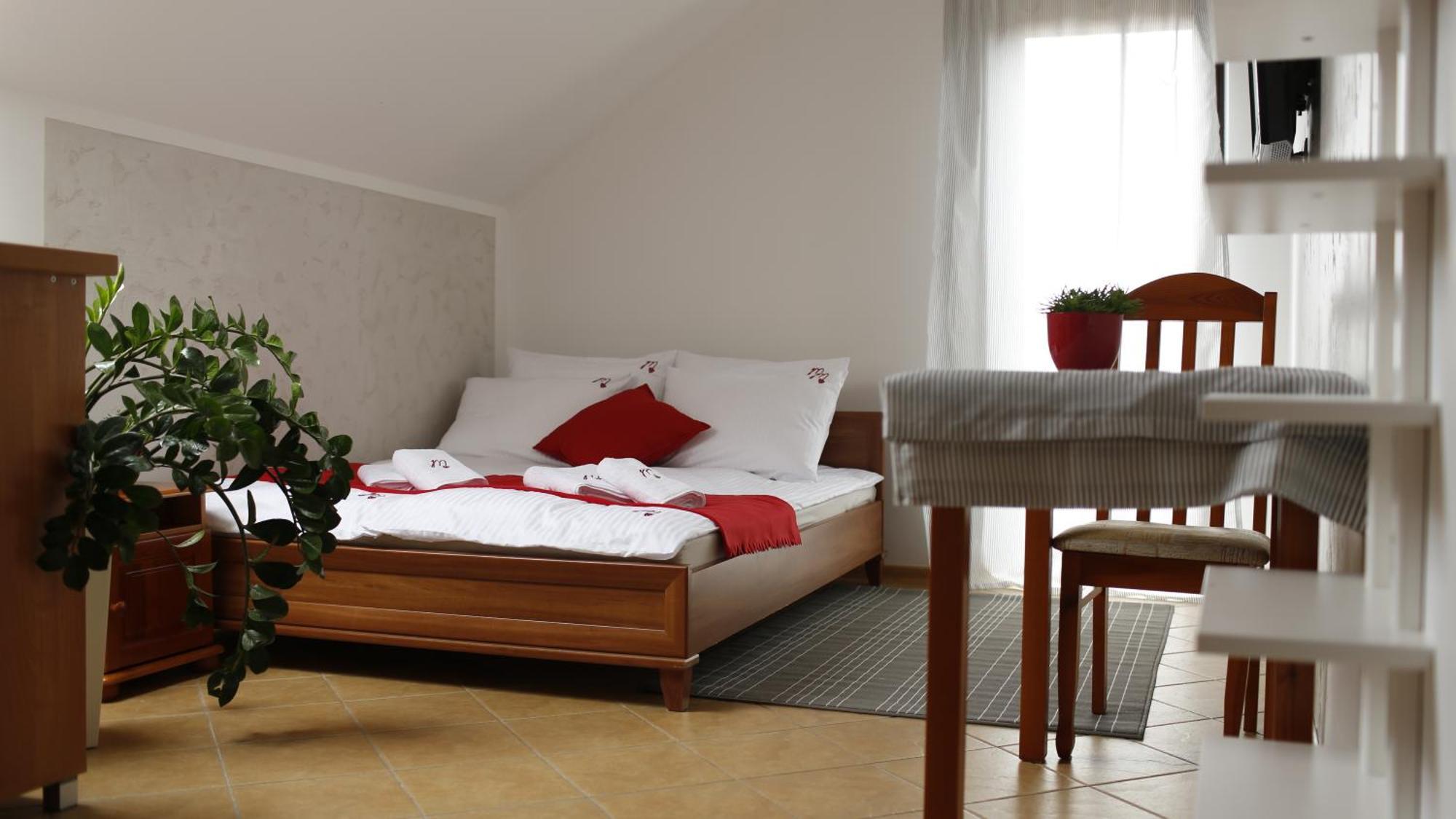 Malinowe Lato Apartment Гжибово Стая снимка